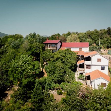 Villa Barbara Vrlika Exterior photo